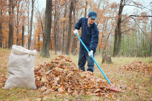 Yard clean deals up near me